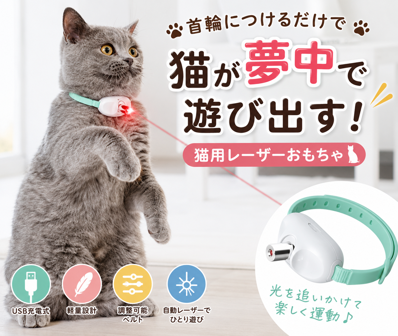 光を追いかけて楽しくひとり遊び｜猫用レーザー首輪