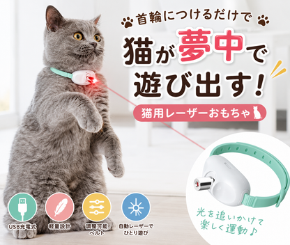 光を追いかけて楽しくひとり遊び｜猫用レーザー首輪