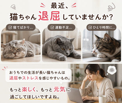 光を追いかけて楽しくひとり遊び｜猫用レーザー首輪