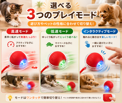 犬猫用スマートおもちゃボール｜自動で転がる充電式ペットトイ