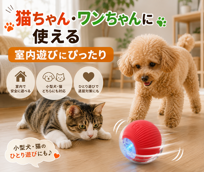犬猫用スマートおもちゃボール｜自動で転がる充電式ペットトイ