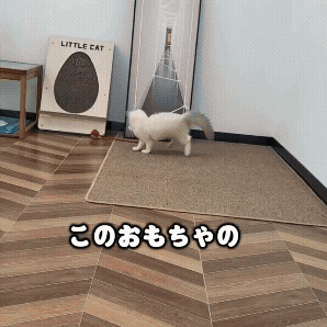 犬猫用スマートおもちゃボール｜自動で転がる充電式ペットトイ